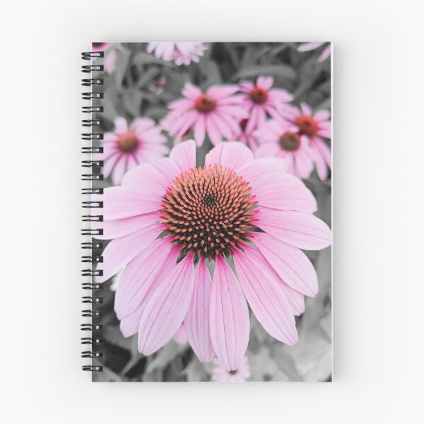 Item preview, coneflower designed and sold by Natalie Stark.