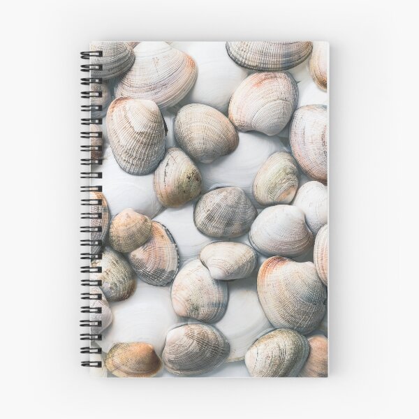 Item preview, Seashells in Pastel Tones designed and sold by Amy Mitchell.