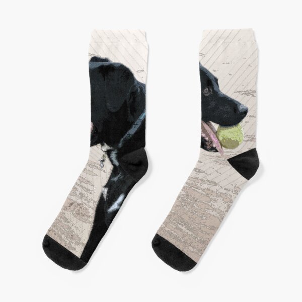 Black Labrador on Beach with a Tennis Ball Socks