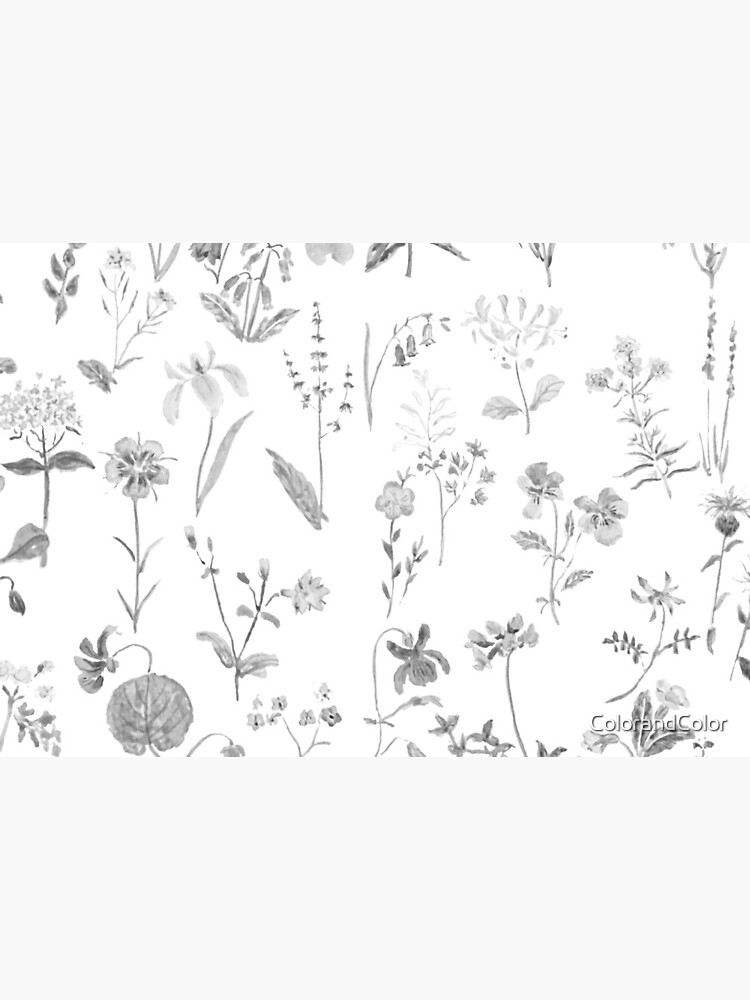 countryside wildflowers black and white by ColorandColor