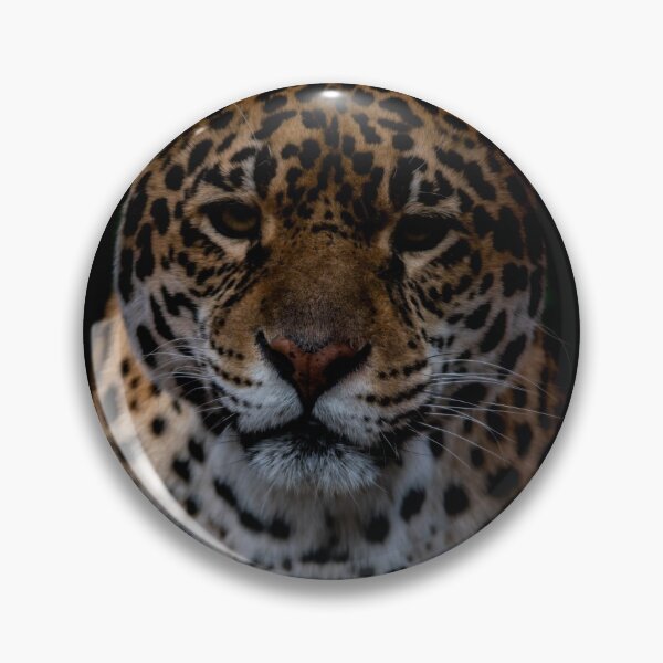 Item preview, Jaguar Photo designed and sold by chloerhianphoto.