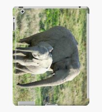 ele pad iPad Case/Skin
