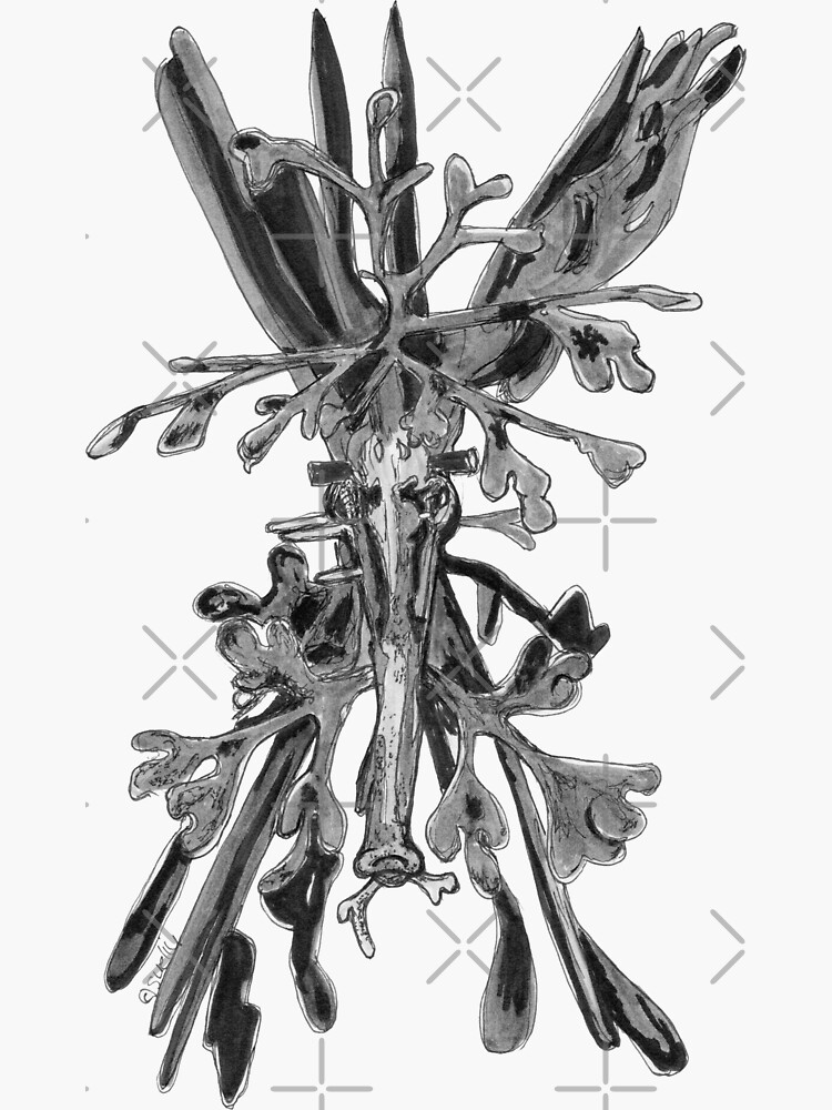 Belinda the Leafy Seadragon by Wildcard-Sue