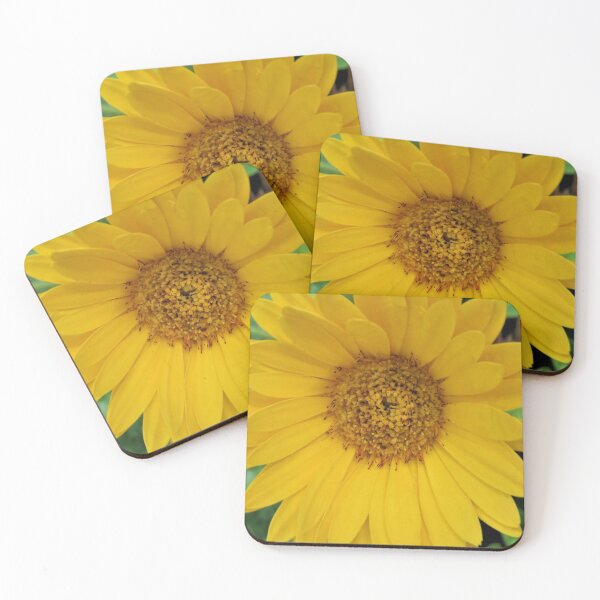Item preview, Sun Flower designed and sold by Mini-Moments.