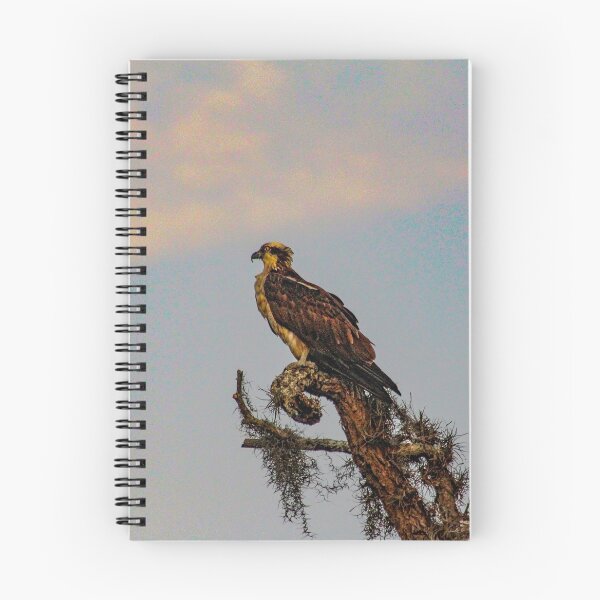 Item preview, Osprey Roost designed and sold by Bob Hardy.