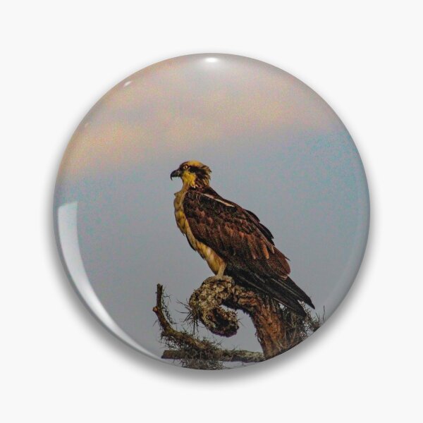 Item preview, Osprey Roost designed and sold by Bob Hardy.