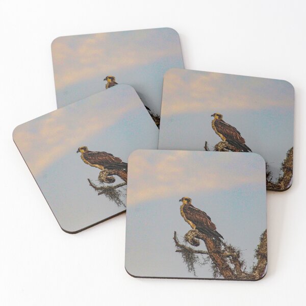 Item preview, Osprey Roost designed and sold by Bob Hardy.