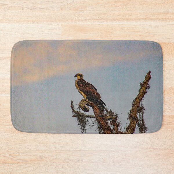 Item preview, Osprey Roost designed and sold by Bob Hardy.