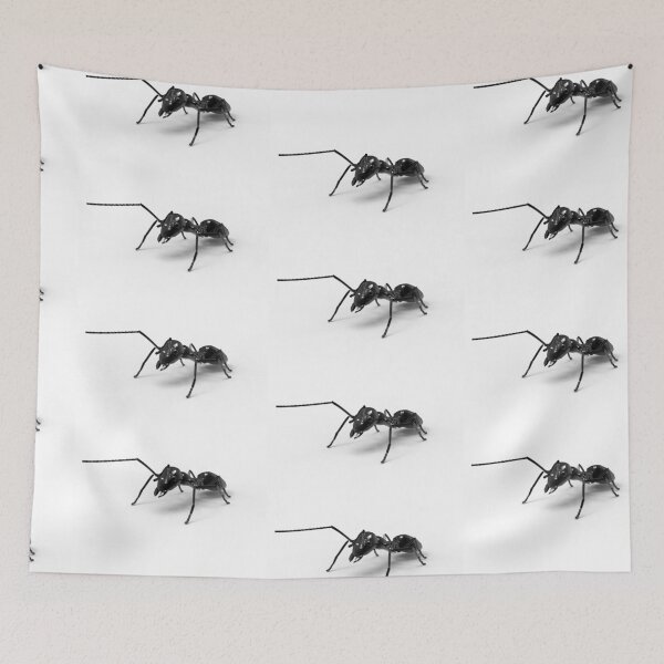 Item preview, wonder ant designed and sold by creatives think.