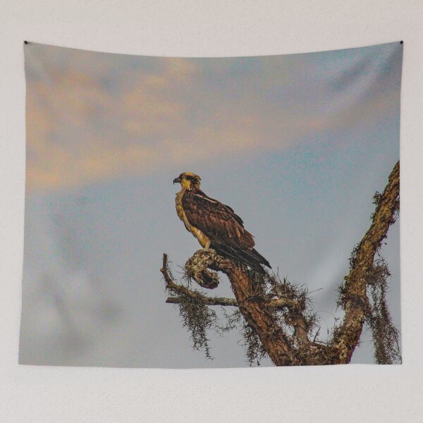 Item preview, Osprey Roost designed and sold by Bob Hardy.