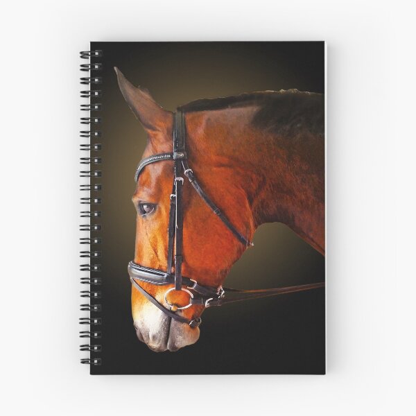 Item preview, Higgins JP designed and sold by horseymj1.