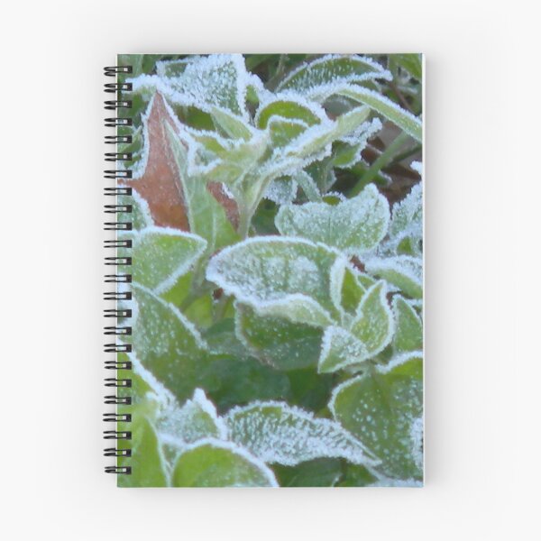 Item preview, What Frost REALLY Looks Like designed and sold by Navigator.