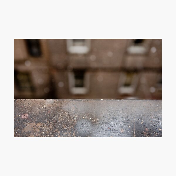 Out My Window Photographic Print