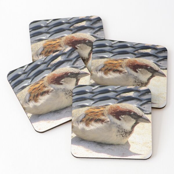 Item preview, Lake District National Park UK, Wild Bird designed and sold by Andrew Morrell.