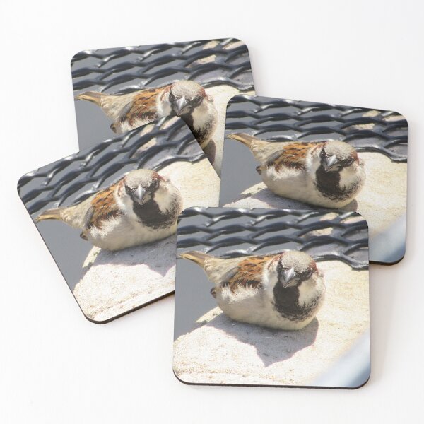 Item preview, Wild Bird in the Lake District National Park, UK designed and sold by Andrew Morrell.