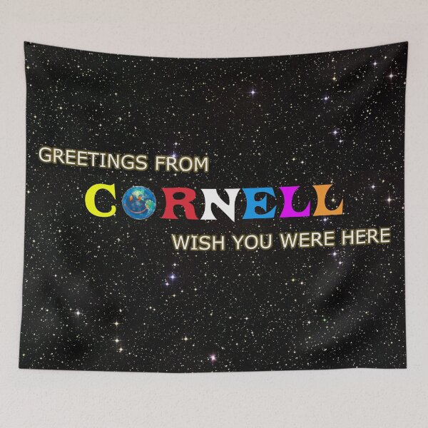 Item preview, Cornell - wish you were designed and sold by caitlyn5a.