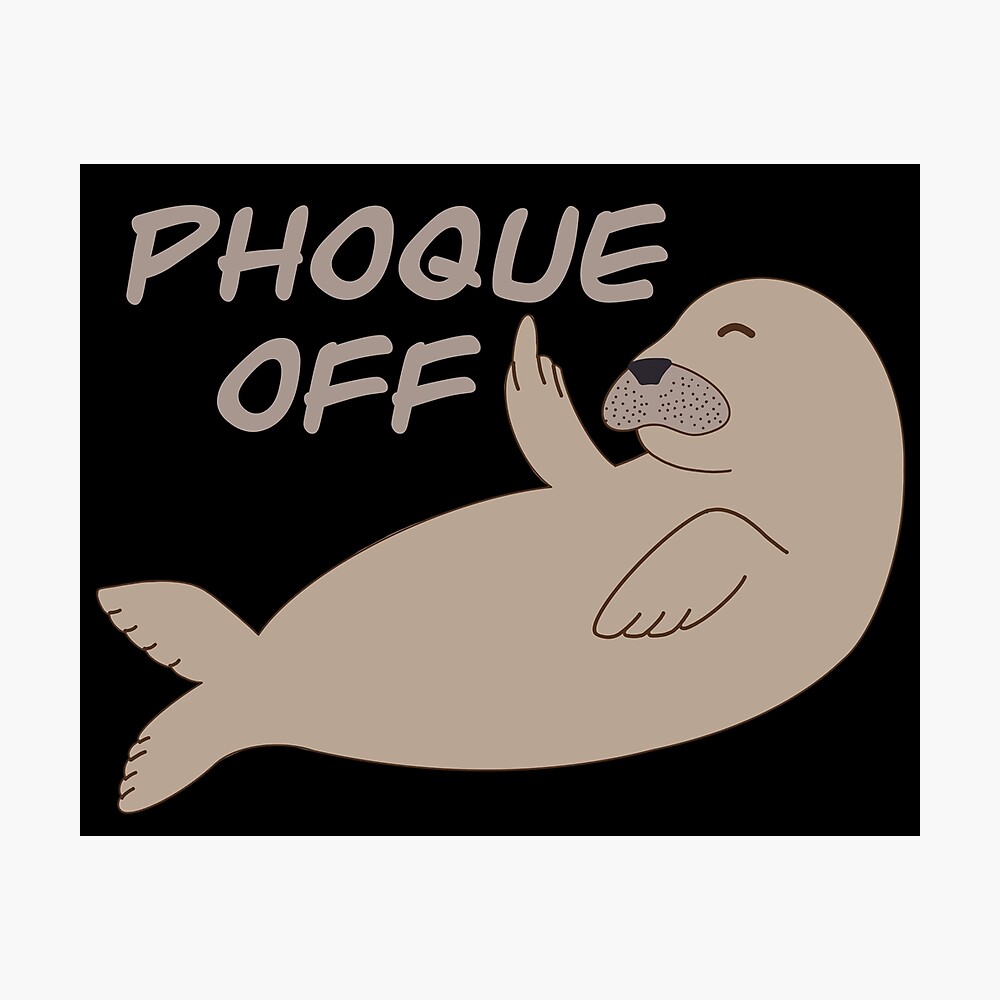 Phoque Off Seal Poster By Karyann Redbubble