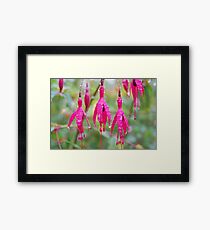 Flowers Framed Print