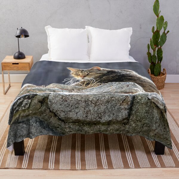 Item preview, Cat on the Wall designed and sold by heatherfriedman.