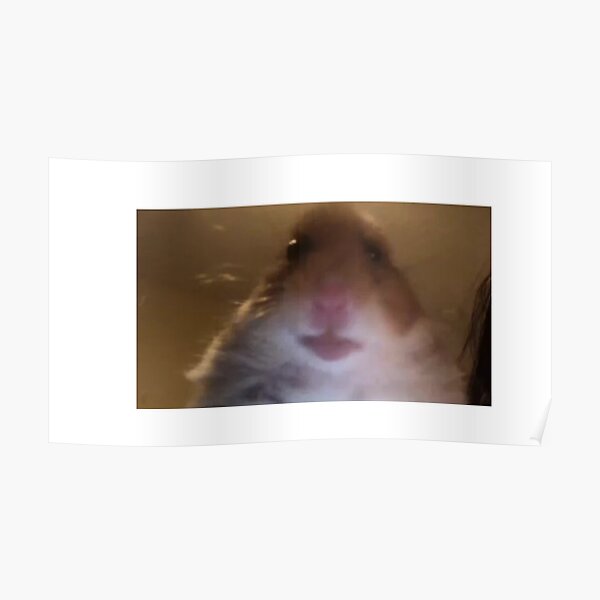 My Image 25