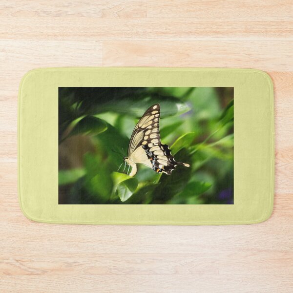 Item preview, SwallowTail Butterfly on Citrus Leaf  designed and sold by KbytesOfJax Outdoor and Nature.