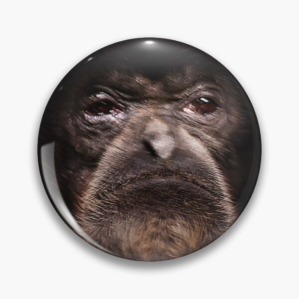 Item preview, Sad Monkey Eyes designed and sold by KbytesOfJax Outdoor and Nature.