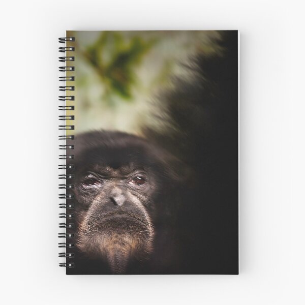 Item preview, Sad Monkey Eyes designed and sold by KbytesOfJax Outdoor and Nature.