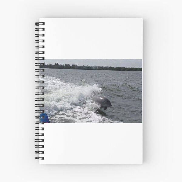 Item preview, Dolphin Racing designed and sold by timg58.