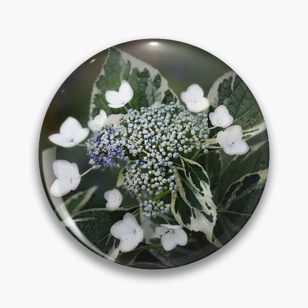 Item preview, Grannies Lace Hydrangea on Soft Summer Background designed and sold by KbytesOfJax Outdoor and Nature.