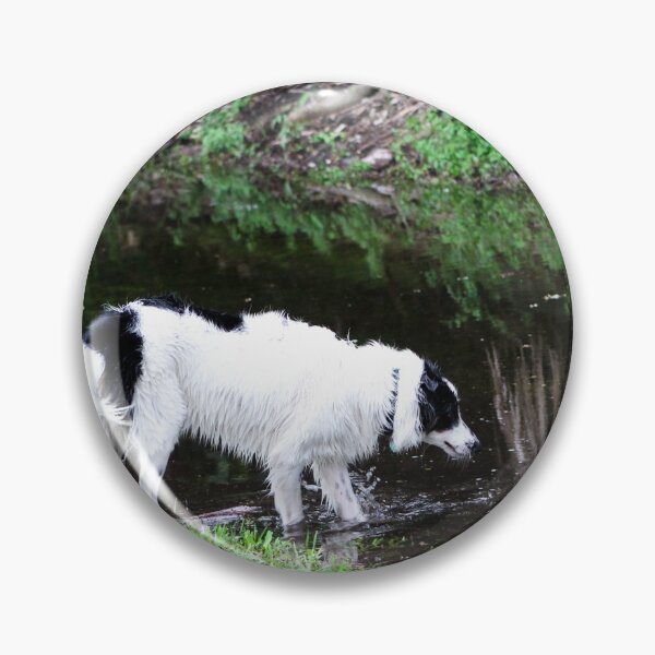 Item preview, Skipper Testing the Water of Her Temporary Pond designed and sold by banditandkoko.