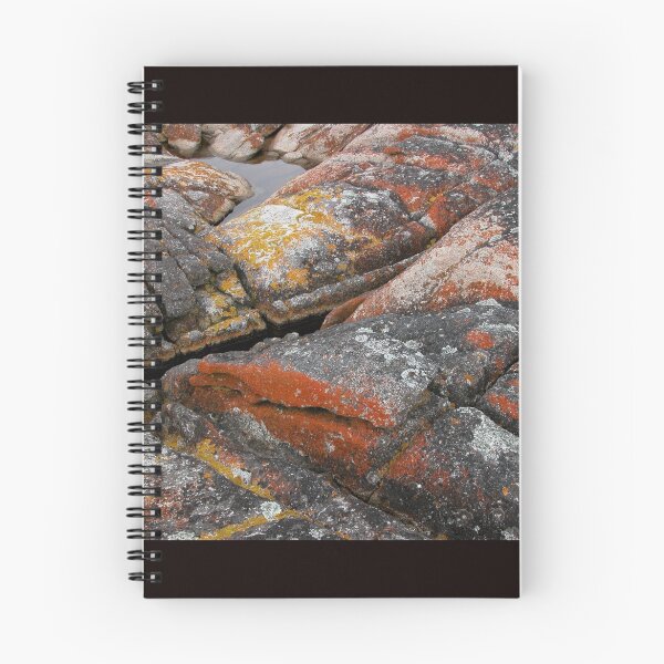 Item preview, The Colours of Lichen, Binalong Bay, Tasmania, Australia. designed and sold by kaysharp.