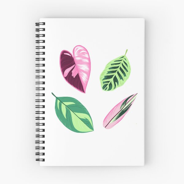 Item preview, House Plant Set designed and sold by MidnightFern.