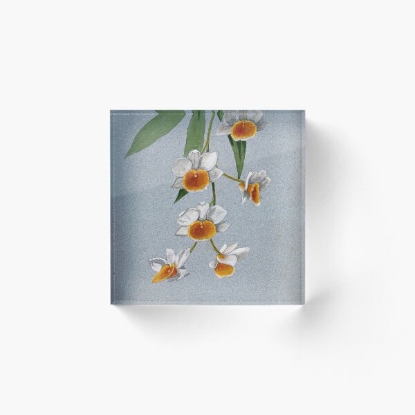 Item preview, Ilustración acuarela floral vintage designed and sold by rashealy.