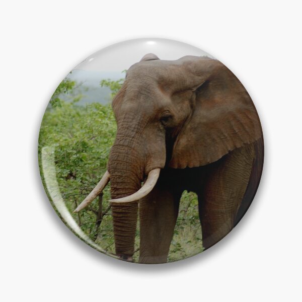 Item preview, "THE IVORY CARRIER" designed and sold by Magriet Meintjes.