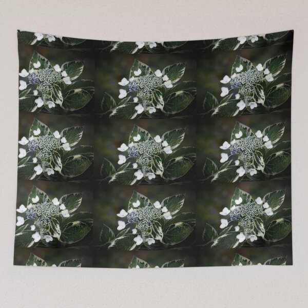 Item preview, Grannies Lace Hydrangea on Soft Summer Background designed and sold by KbytesOfJax Outdoor and Nature.