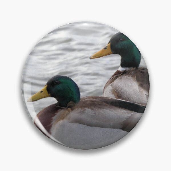 Item preview, Bay Mallards designed and sold by Kimmary.