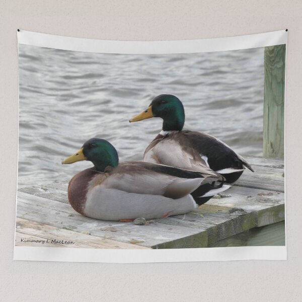 Item preview, Bay Mallards designed and sold by Kimmary.