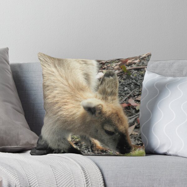 Item preview, Bennetts Wallaby, Cradle Mountain, Tasmania, Australia. designed and sold by kaysharp.