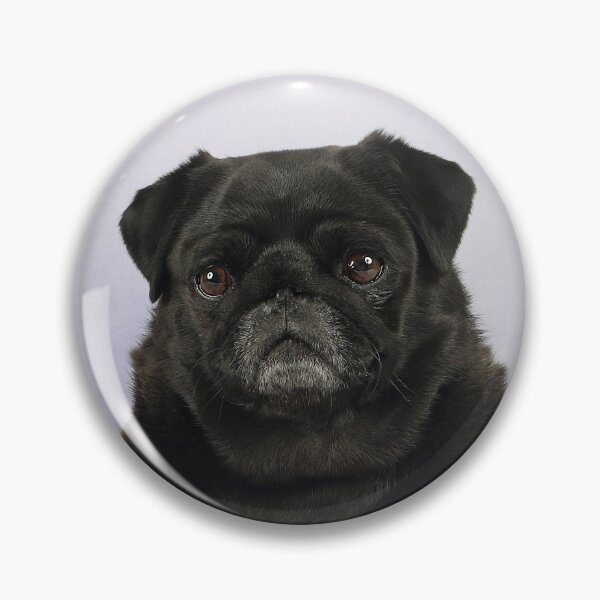 Item preview, Black Pug designed and sold by mlorenz.