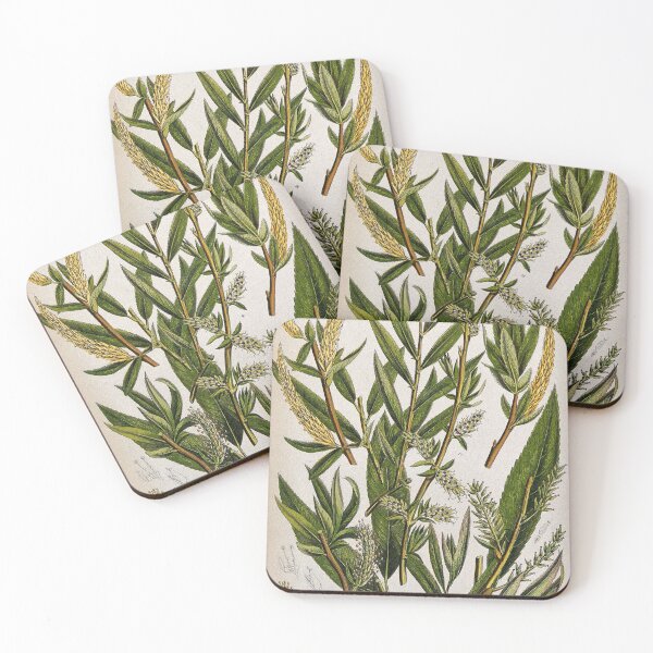 Item preview, Vintage Botany Illustration designed and sold by rashealy.