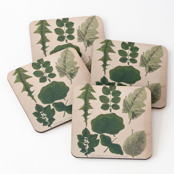 Item preview, Vintage Leaf Diagram designed and sold by rashealy.