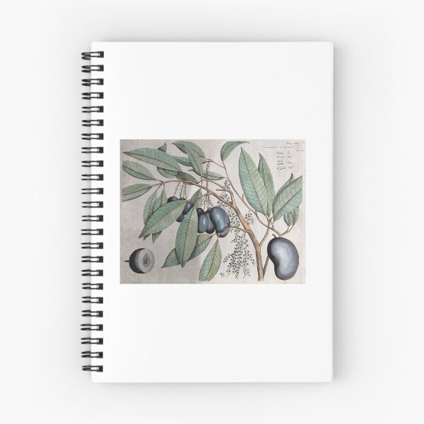 Item preview, Vintage Botany Illustration designed and sold by rashealy.