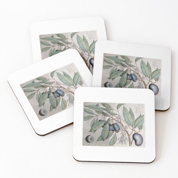 Item preview, Vintage Botany Illustration designed and sold by rashealy.
