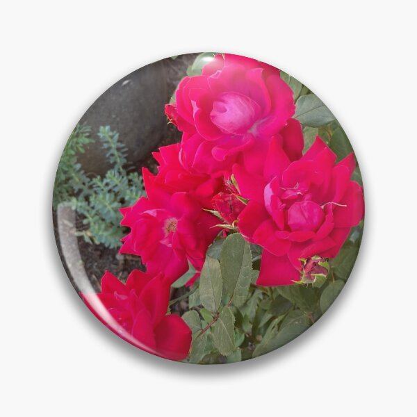 Item preview, Hot Pink Roses designed and sold by Creatiview.