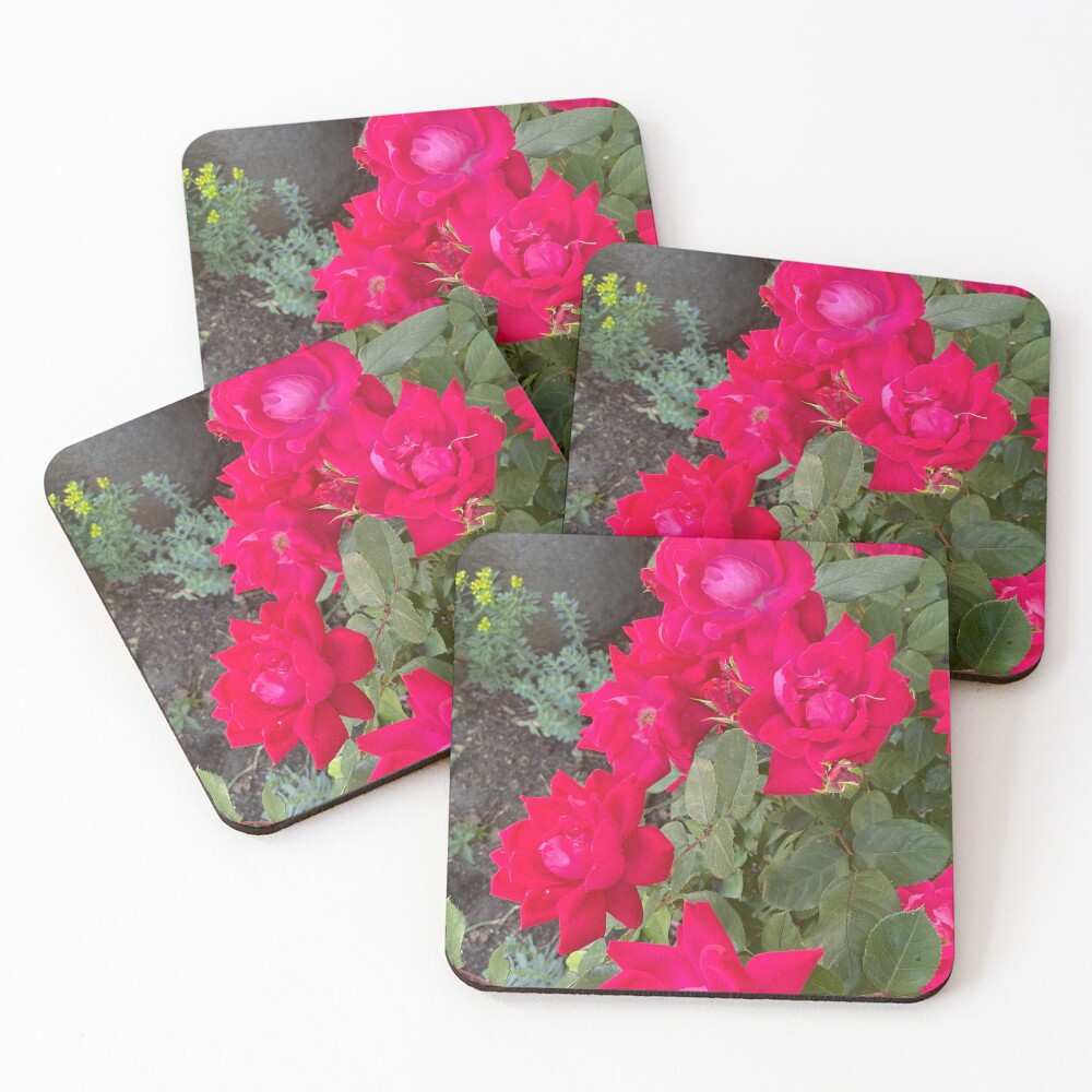 Item preview, Coasters (Set of 4) designed and sold by Creatiview.
