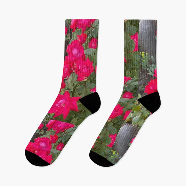 Item preview, Hot Pink Roses designed and sold by Creatiview.
