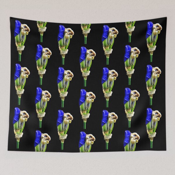 Item preview, A new iris unfurls designed and sold by BBrightman.