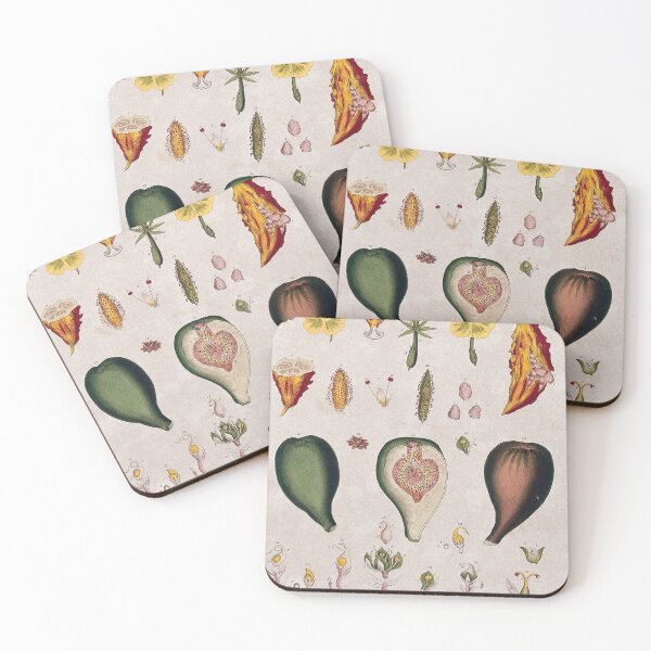 Item preview, Vintage Botanical Illustrations designed and sold by rashealy.