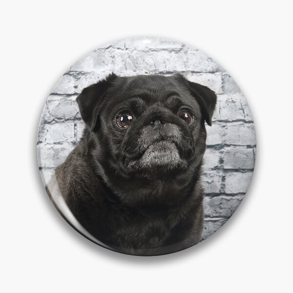 Item preview, The Pug Life designed and sold by mlorenz.