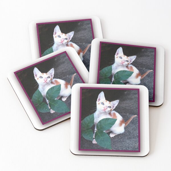 Item preview, Cuet cat designed and sold by Shailesh Shirgaonkar.